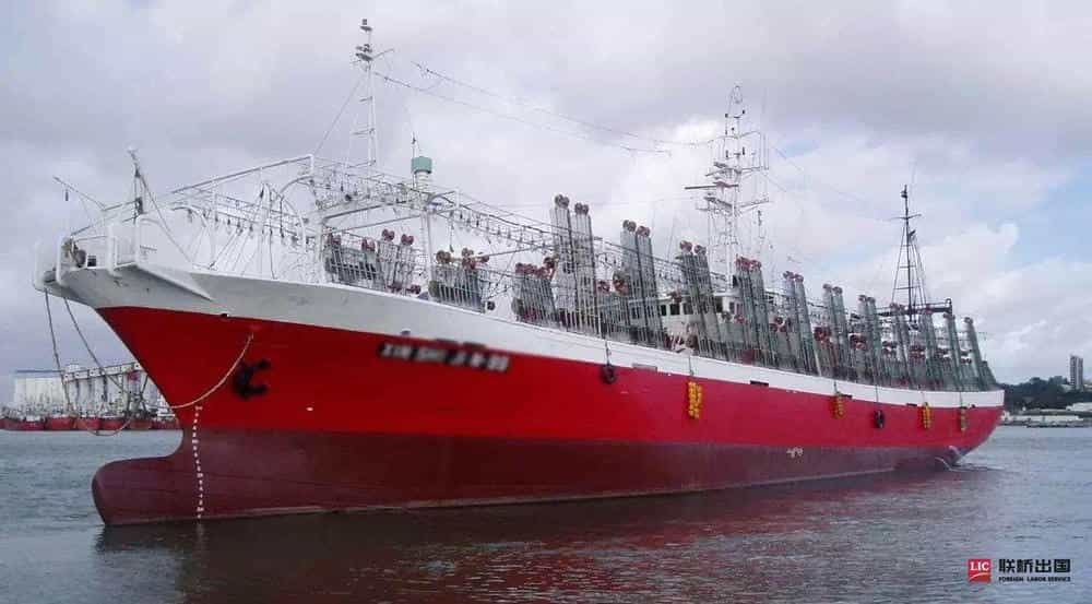 2-1Z91913564R58.jpg 2-1Z91913564R58.jpg