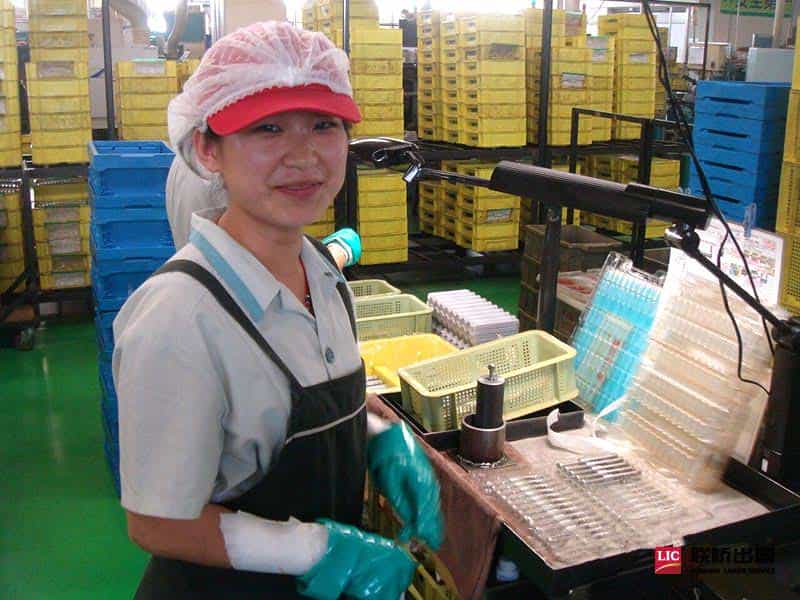 2-1910161F14T42.jpg 2-1910161F14T42.jpg